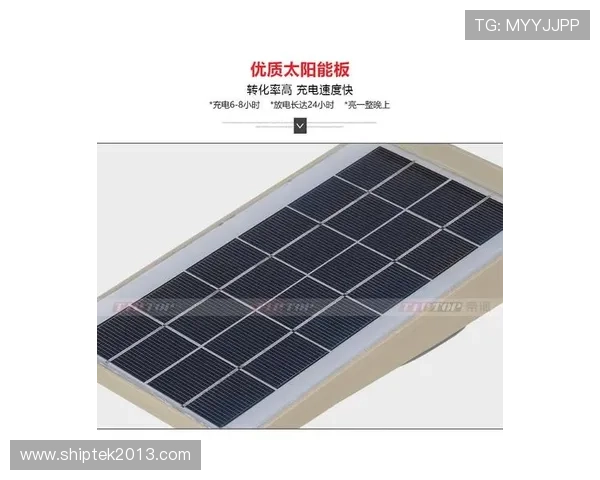 选择777w网址官方网站的十大理由与推荐指南